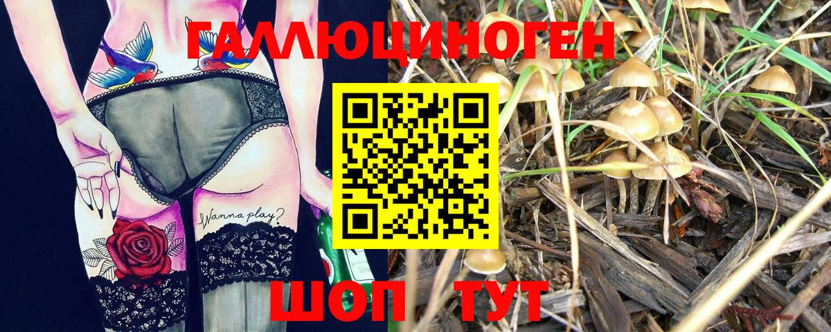 Псилоцибиновые грибы прущие грибы Елизово