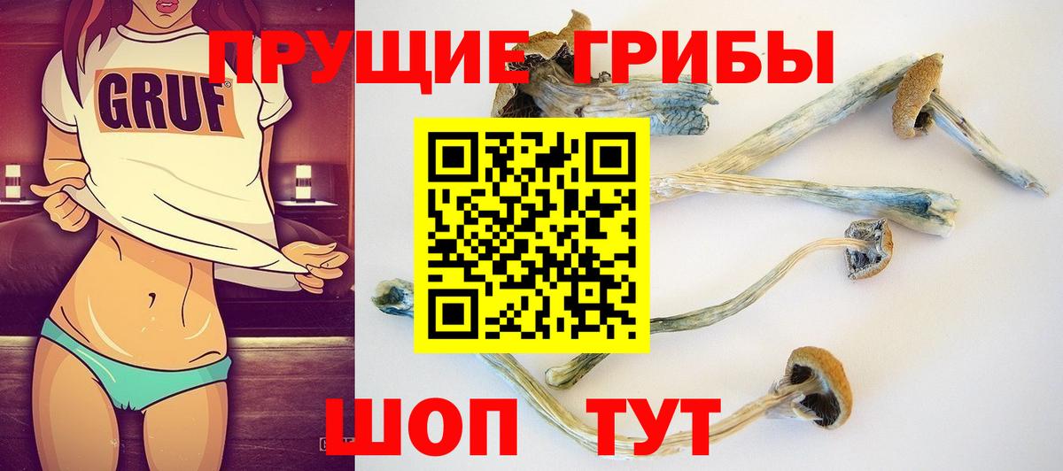 Елизово  Псилоцибиновые грибы мицелий  Вход с VPN 